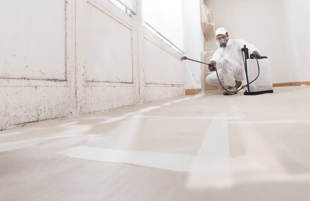 24/7 Emergency Bathroom Mold Removal experts in Summerhill, PA
