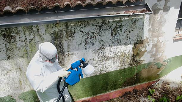 Top rated local Bathroom Mold Removal specialists in Summerhill, PA